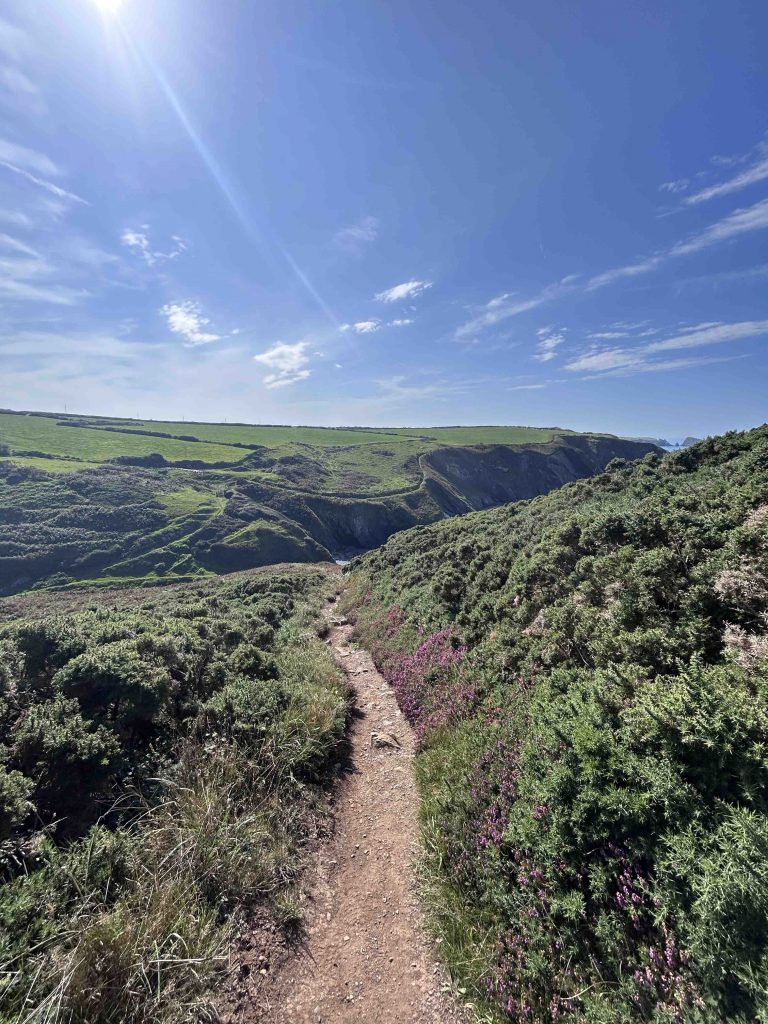 date activities near you. find a scenic hike